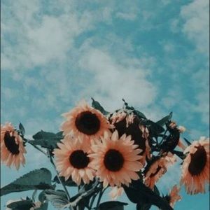 Meet your Posher, Reese